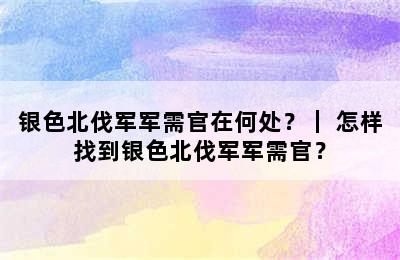 银色北伐军军需官在何处？｜ 怎样找到银色北伐军军需官？